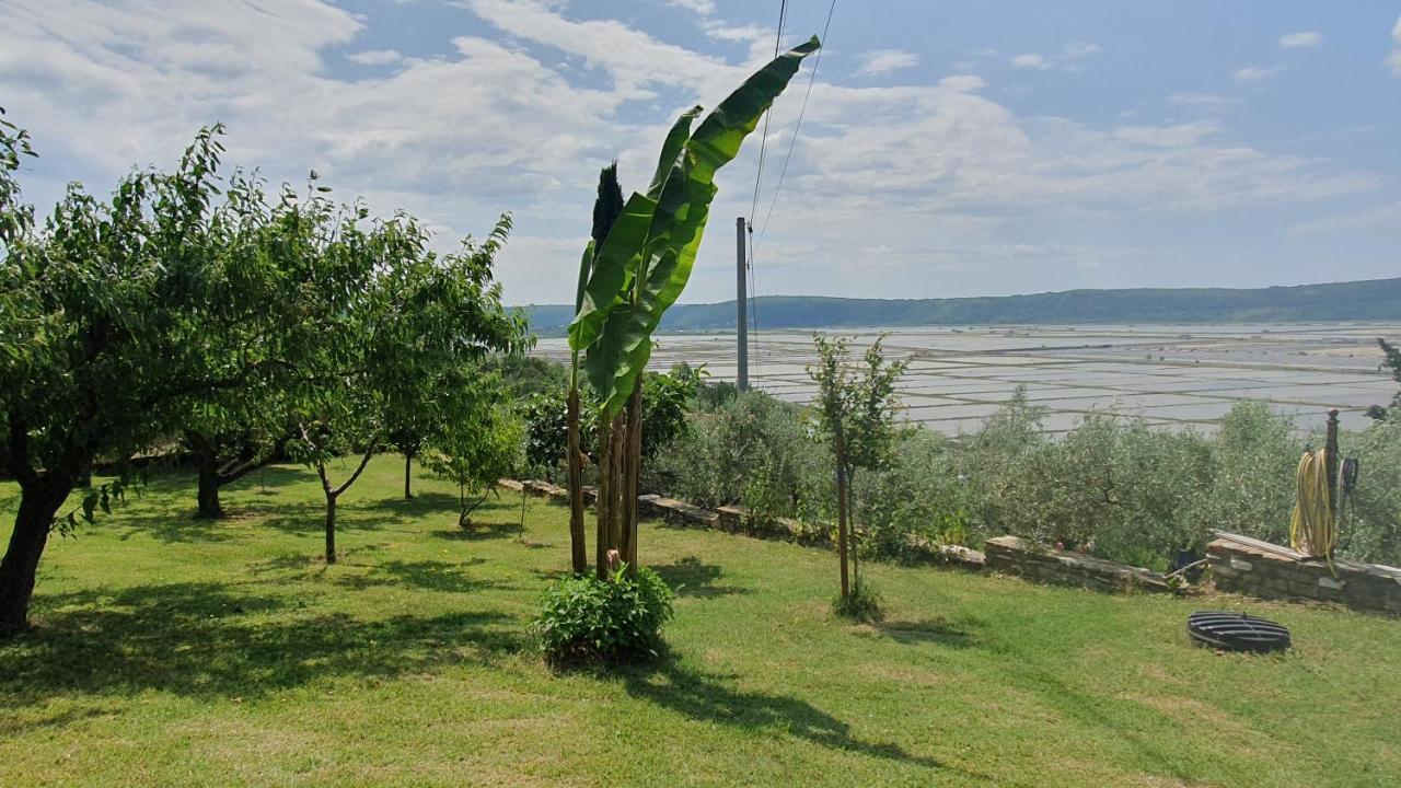 Apartment Laurus Portorož Eksteriør bilde