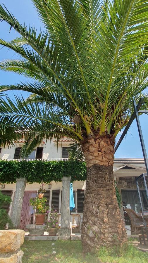 Apartment Laurus Portorož Eksteriør bilde