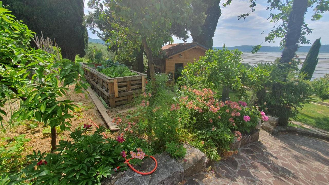 Apartment Laurus Portorož Eksteriør bilde