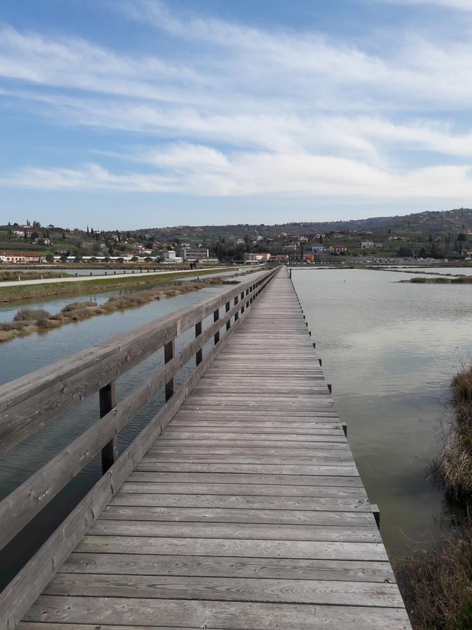Apartment Laurus Portorož Eksteriør bilde